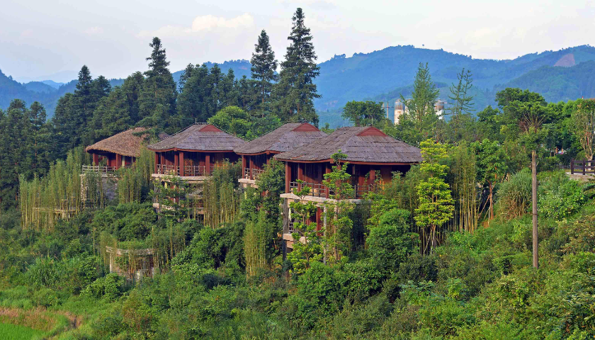 1713425288611647.png 10001.png