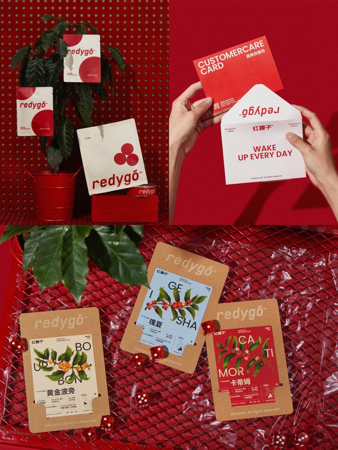 1758851351873494.jpg 2.jpg