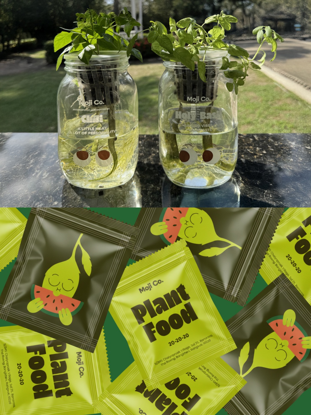 1763360213341126.jpg 7.jpg