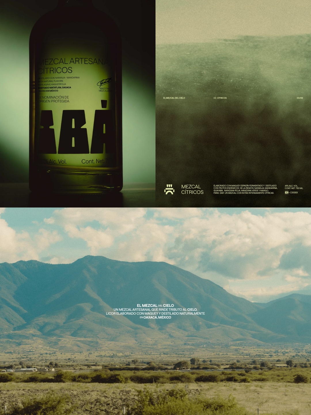 1764149762412879.jpg 4.jpg